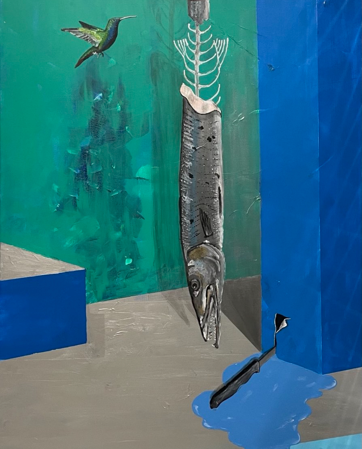barracuda